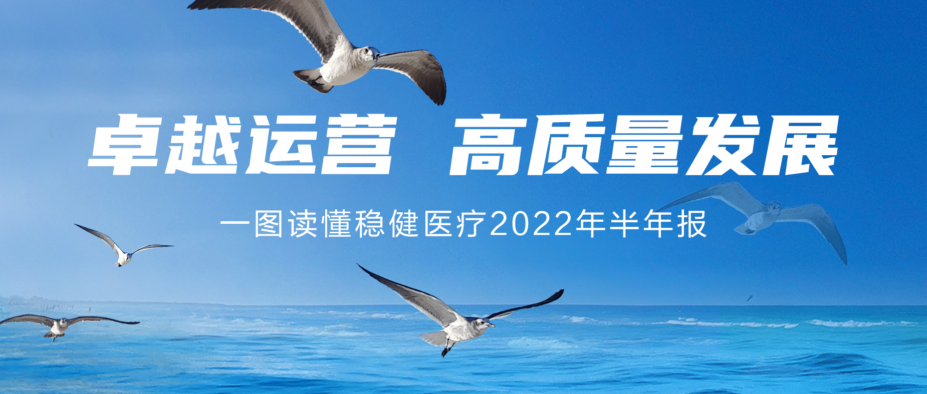 一图读懂pp电子2022年半年报