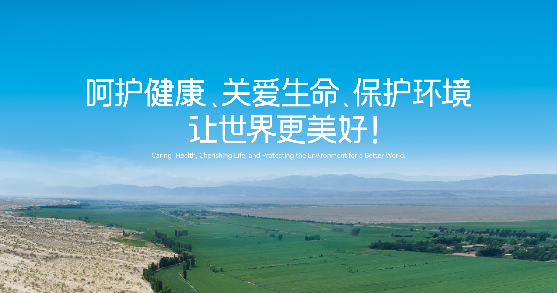 pp电子集团供应链供应商行为准则